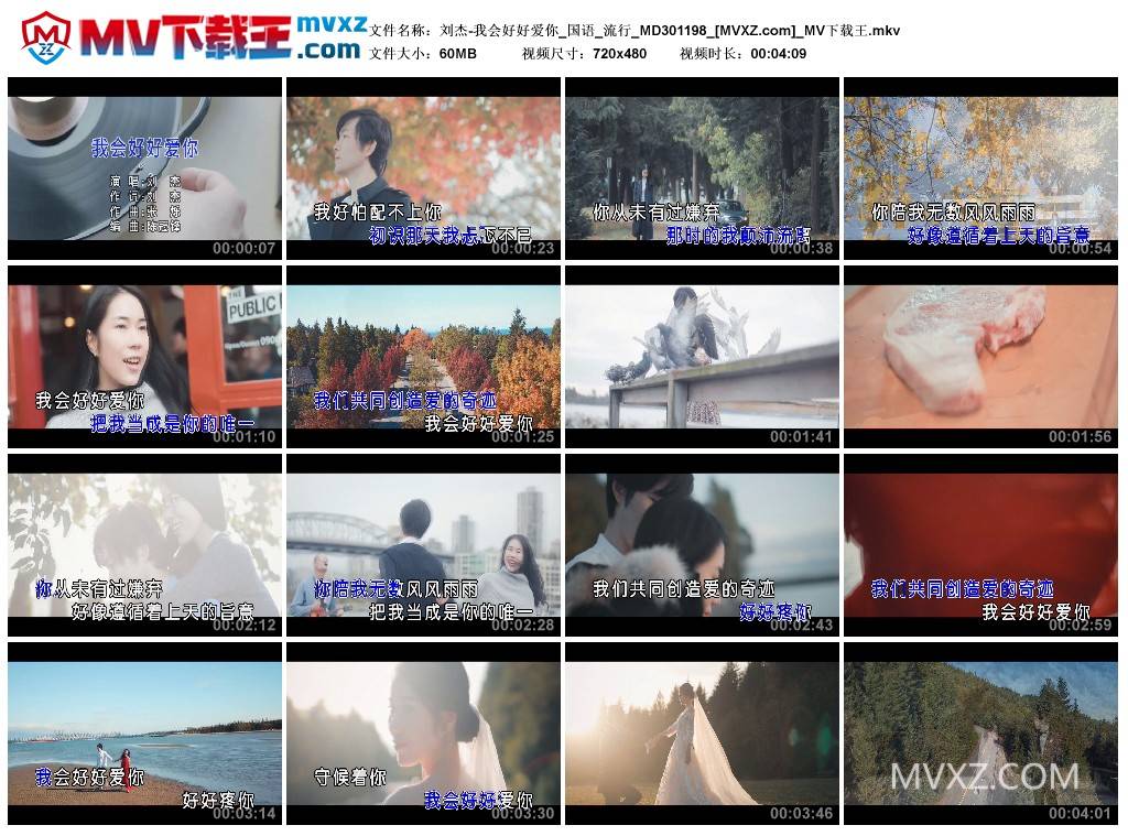 刘杰-我会好好爱你_国语_流行_MD301198